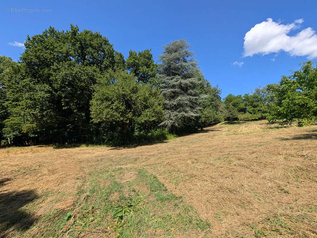 Terrain - Vienne  -16000 m2 - photo 14