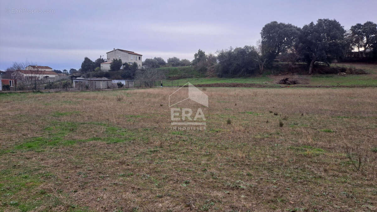 Terrain 1969m² à vescovato - photo 2