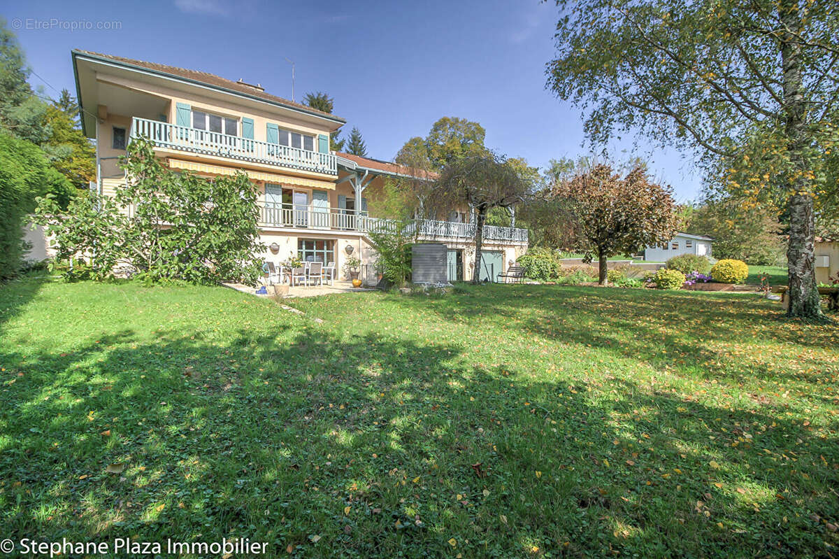 Maison à VILLIEU-LOYES-MOLLON