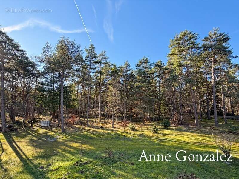 VIENNE EN VAL, à trente minutes d'ORLEANS aux portes de l'Orée de Sologne Propriété à vendre avec 24 hectares boisés et son étan - photo 19