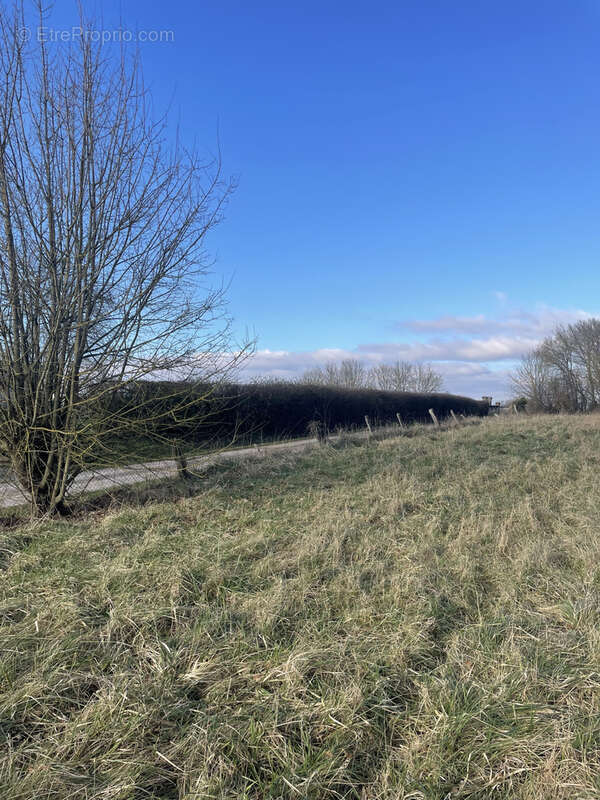 Terrain à BROUSSEY-RAULECOURT