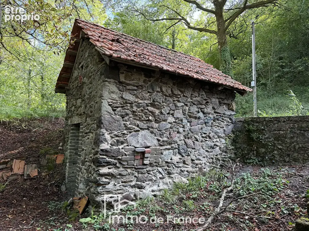 Vallée du Lot, Maison isolée avec 1,5 ha de terrain- EXCLUSIVITE - photo 13
