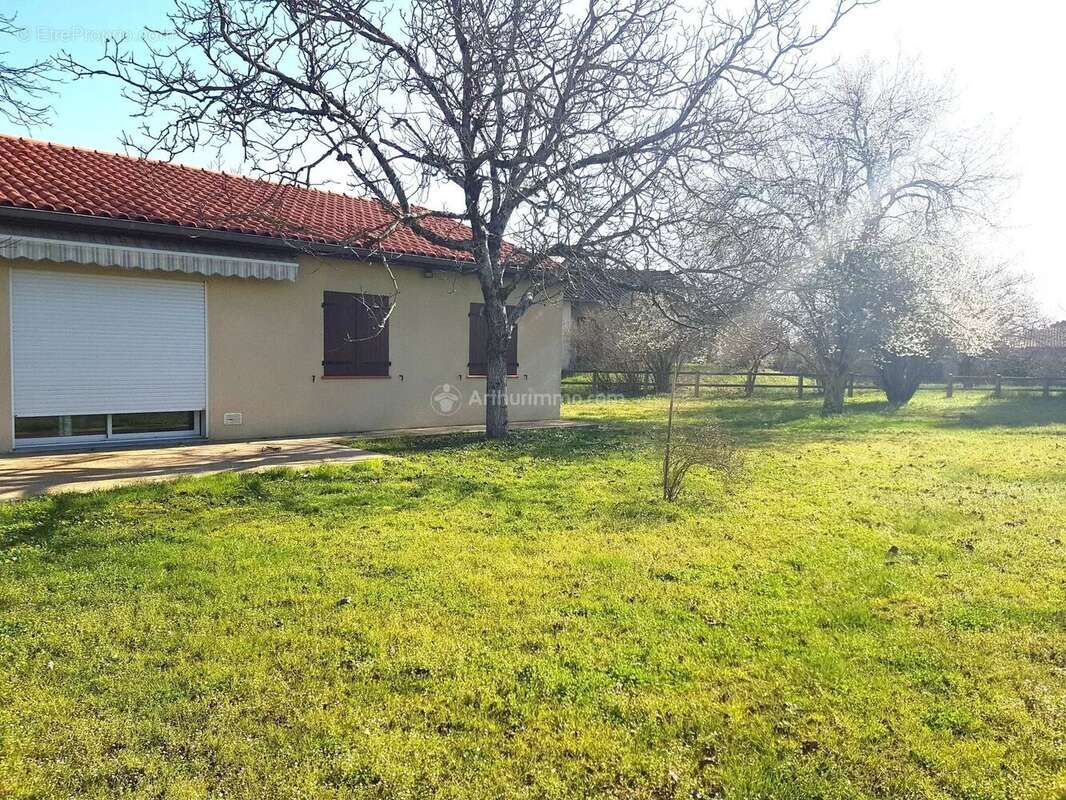 Maison à LESCURE-D'ALBIGEOIS