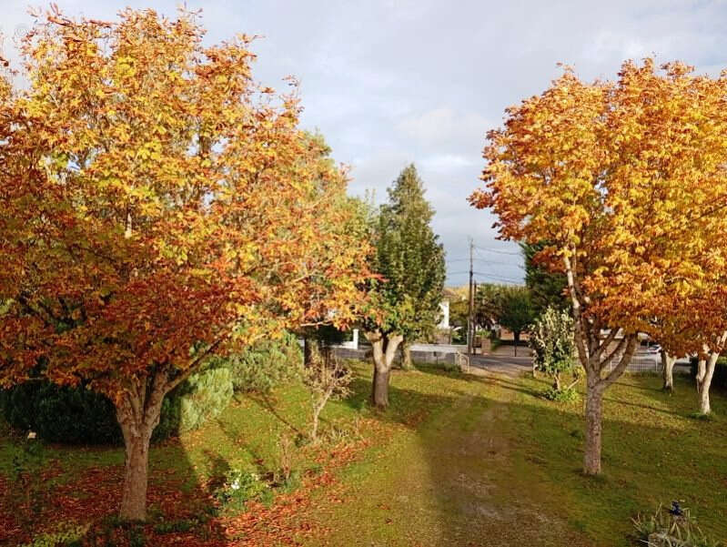 Maison à JAUNAY-CLAN