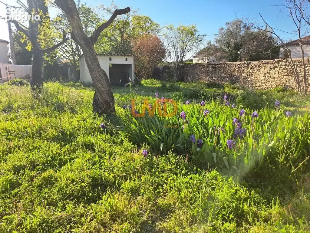 Terrain à MUS