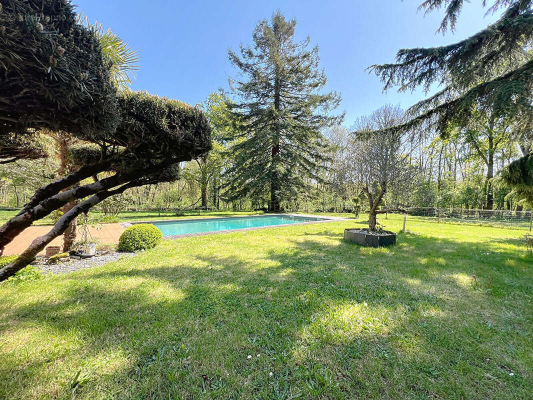 Maison à VENANSAULT