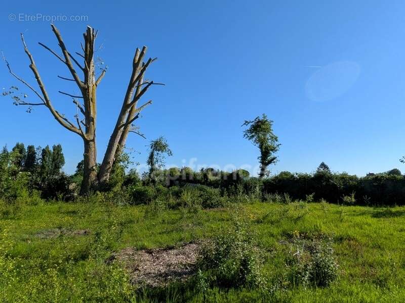 Terrain à NEUVILLE-EN-FERRAIN