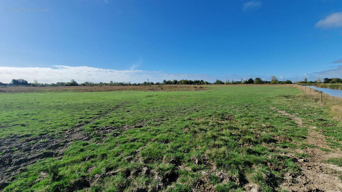 Maison à BOIS-DE-CENE