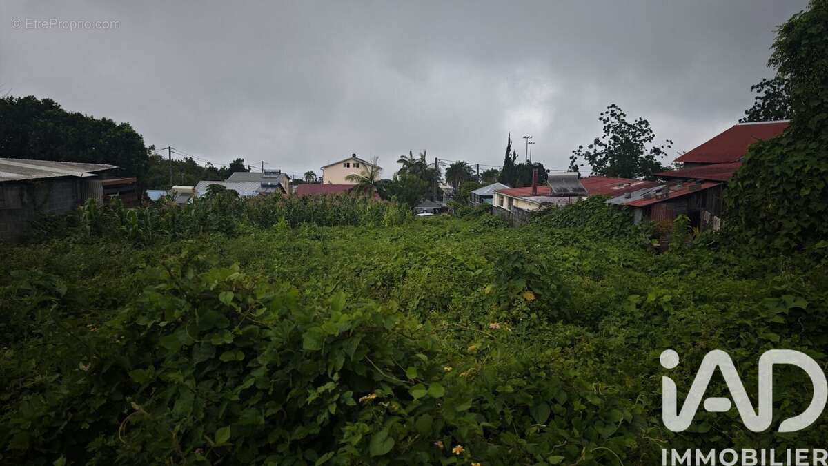 Photo 2 - Terrain à LE TAMPON