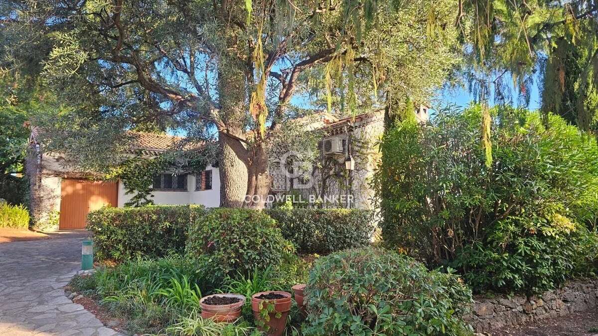 Maison à CANNES