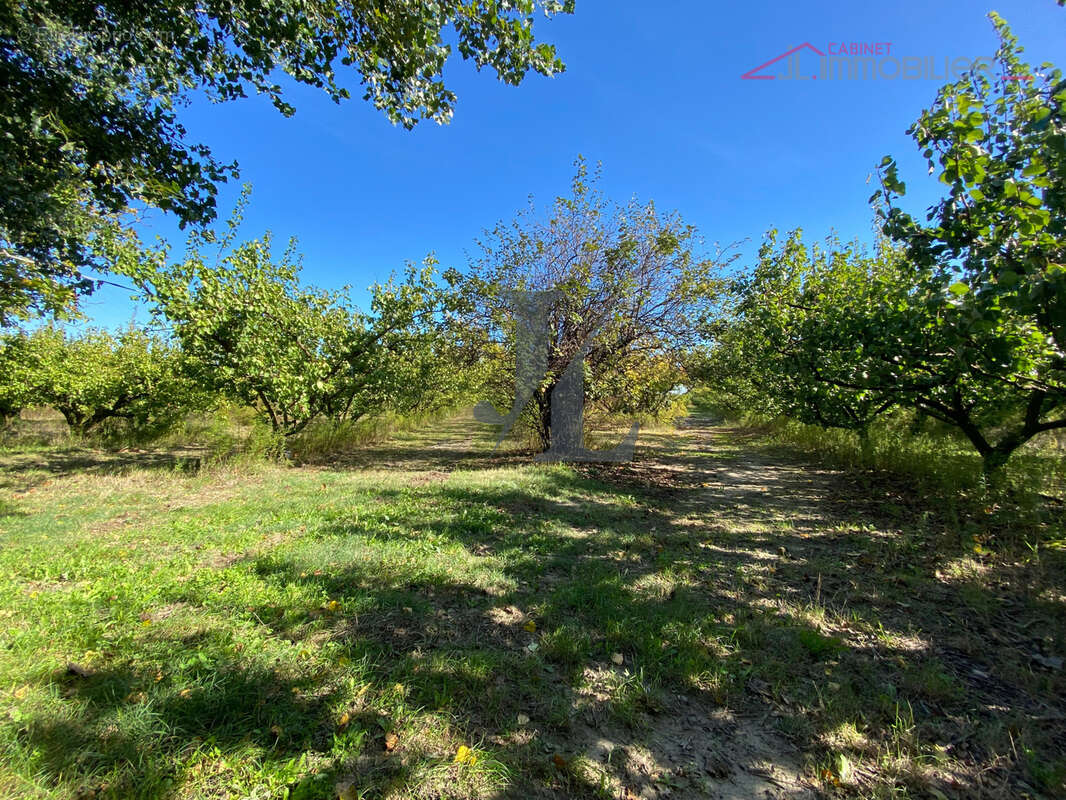 Maison à ETOILE-SUR-RHONE