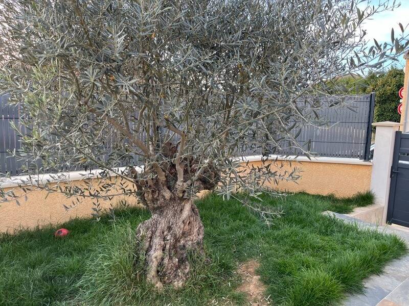 Maison à MONTELIMAR