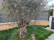 Maison à MONTELIMAR