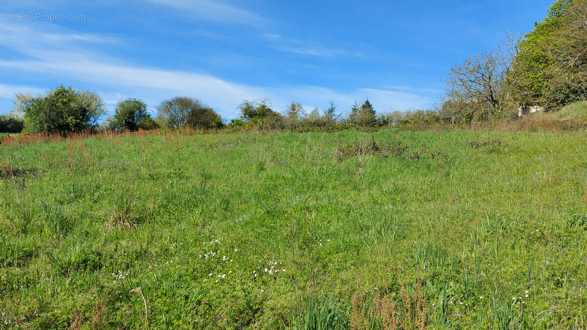 Terrain à MOUCHAMPS