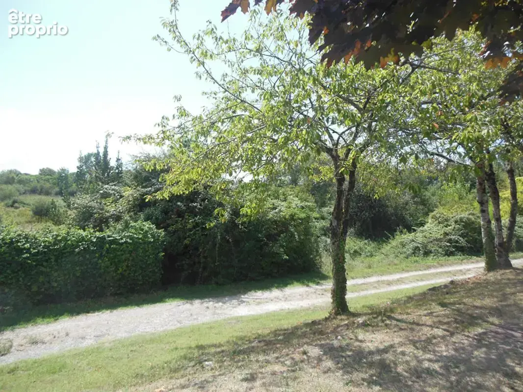 Maison 55 m² 2 chambres - Jardin-Terrasse - Hauteurs du Marais de Pontaillac - photo 9