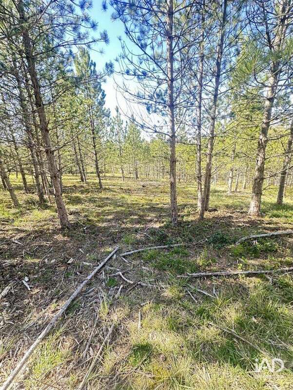 Photo 3 - Terrain à MOLLANS-SUR-OUVEZE