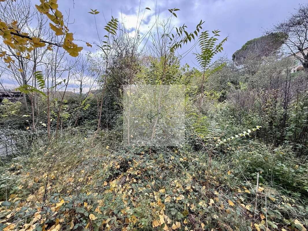 Terrain à ROCHEMAURE