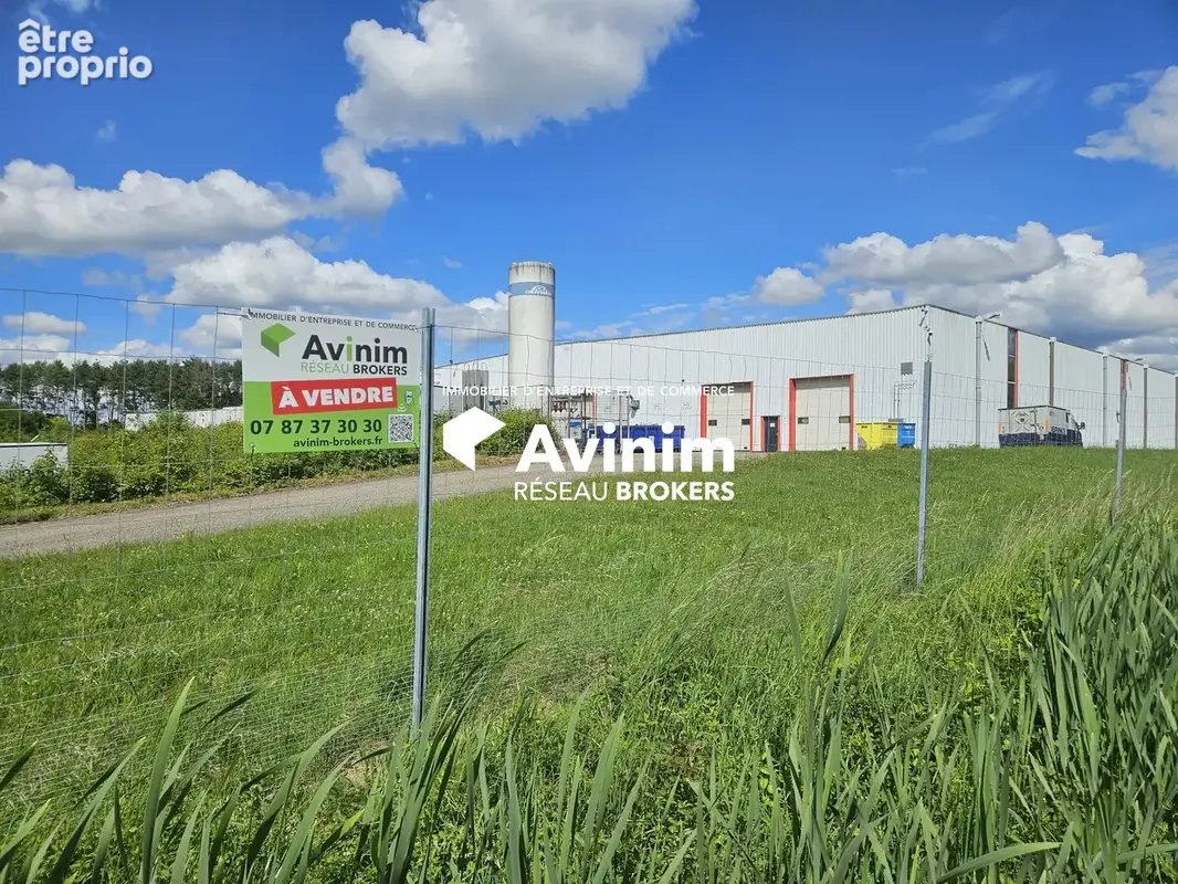 Photo Commerce à Attignat au prix de 8 840 000€