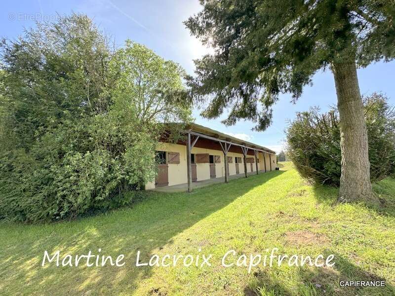 Dpt SARTHE (72), à vendre LA FERTÉ-BERNARD - PROPRIÉTÉ  P5 de 100 m² - Terrain de 10 Ha - photo 15