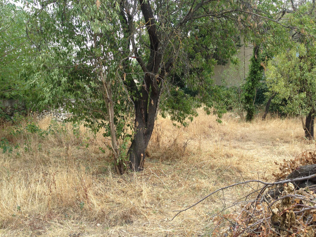Terrain à SAINT-SATURNIN-LES-AVIGNON