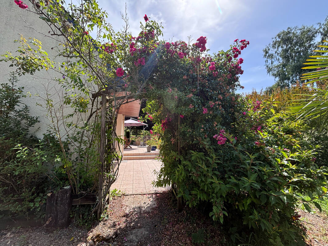 Maison à BENODET
