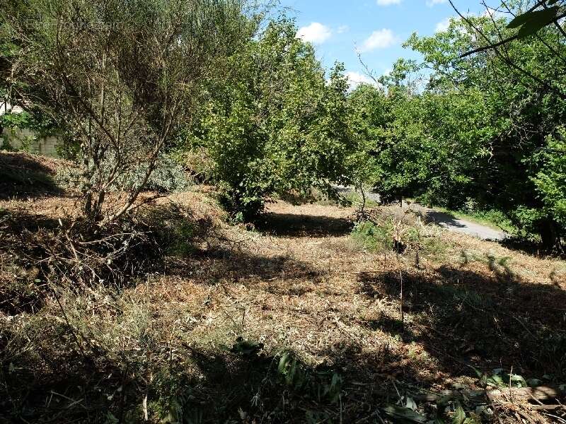 Terrain à SAINT-ANDRE-DE-MAJENCOULES