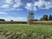 Terrain à ENNEVELIN