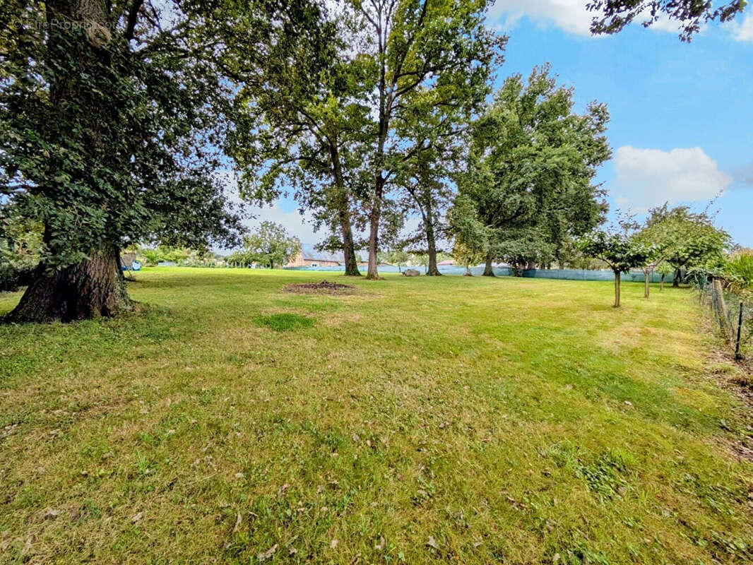 Terrain à SAINT-MARTIN