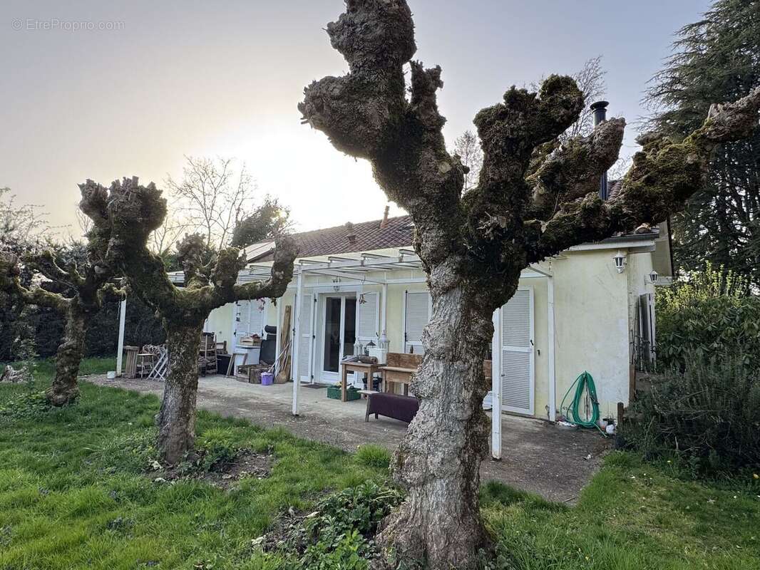 IMG1814 - Maison à SAINT-CYPRIEN