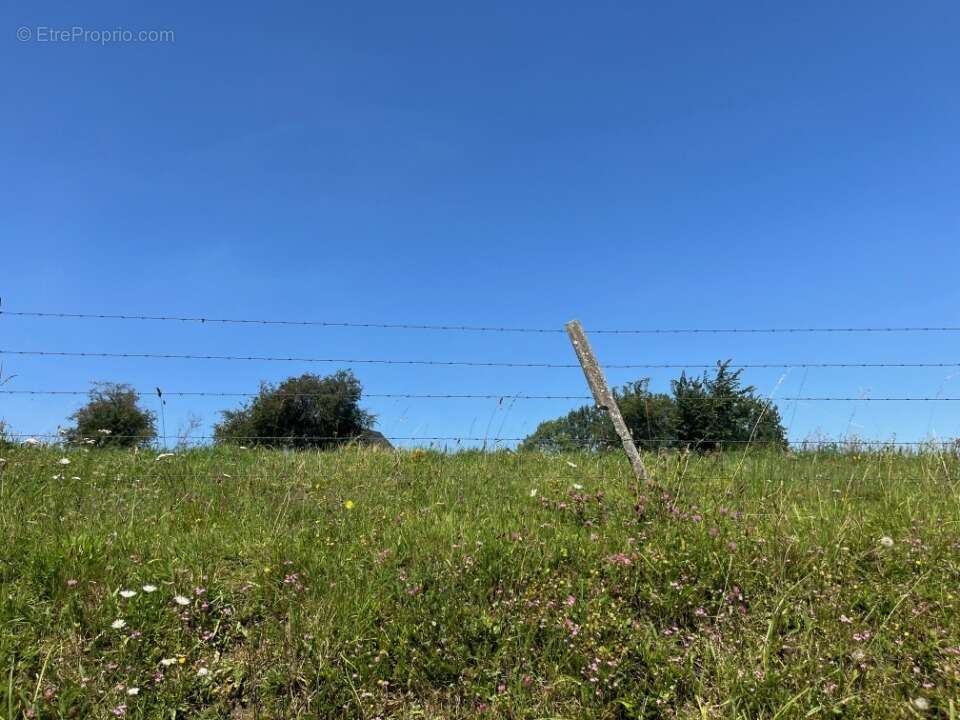 Terrain à OCHANCOURT