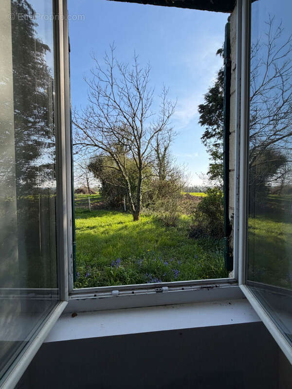 Maison à VERN-D'ANJOU