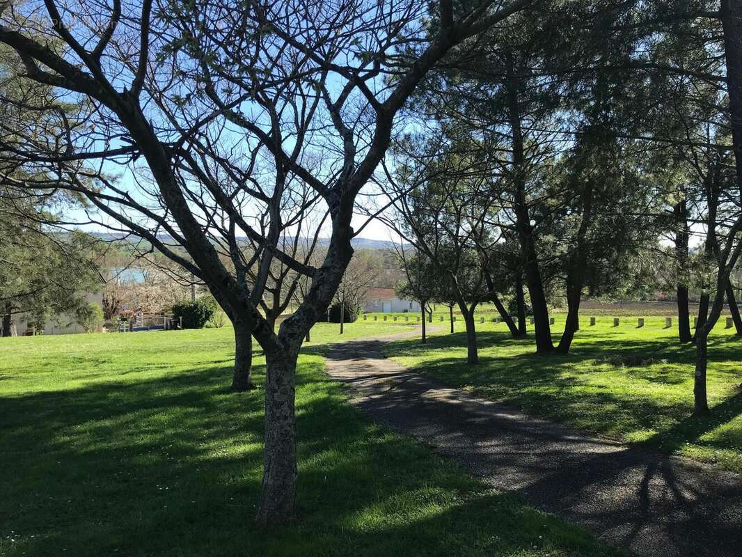 Photo 7 - Maison à BEAUMONT-DE-LOMAGNE