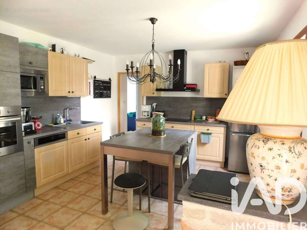 Photo 3 - Maison à VOUZON