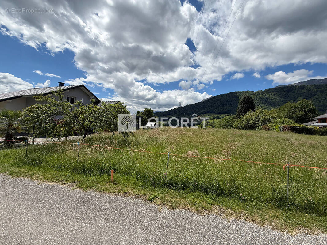 Terrain à CESARCHES