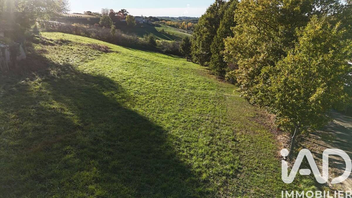 Photo 1 - Terrain à MOISSAC