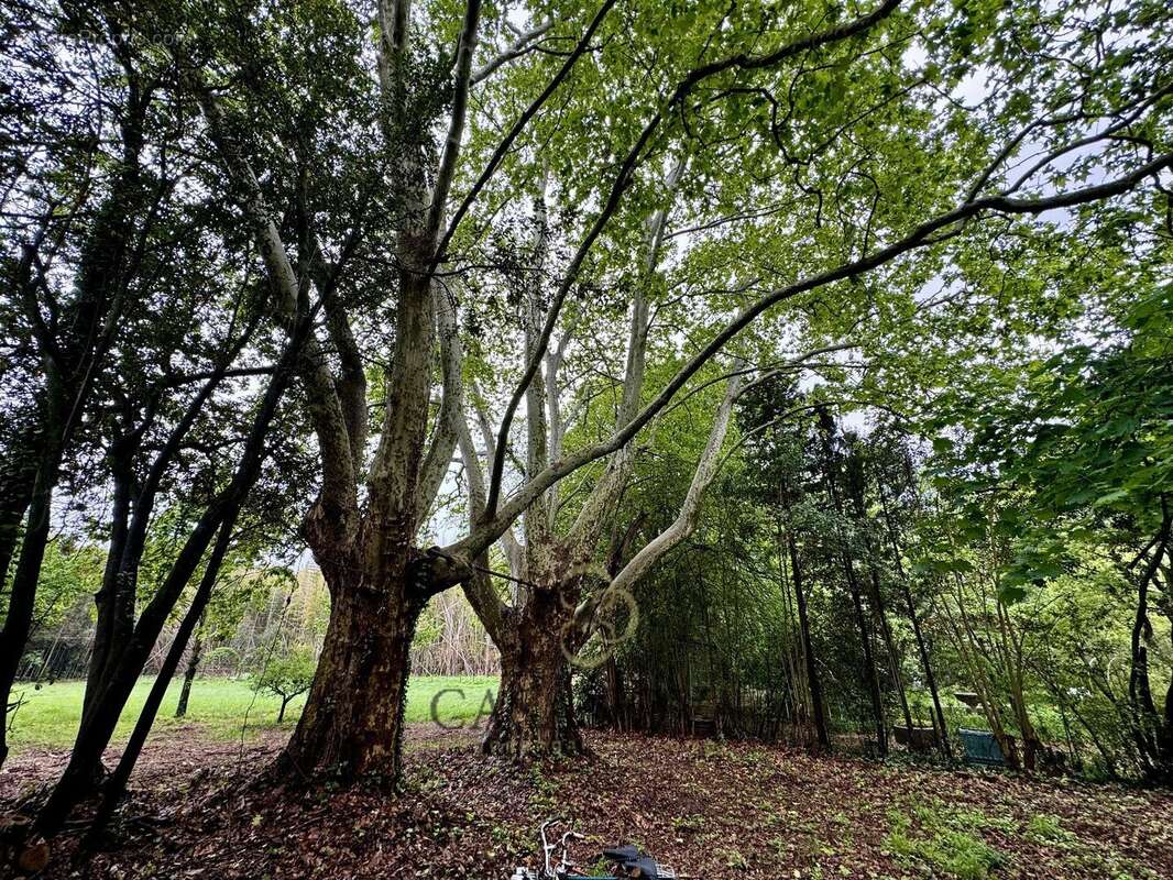 Maison à CASTELNAU-LE-LEZ