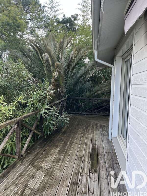 Photo 5 - Maison à GUJAN-MESTRAS