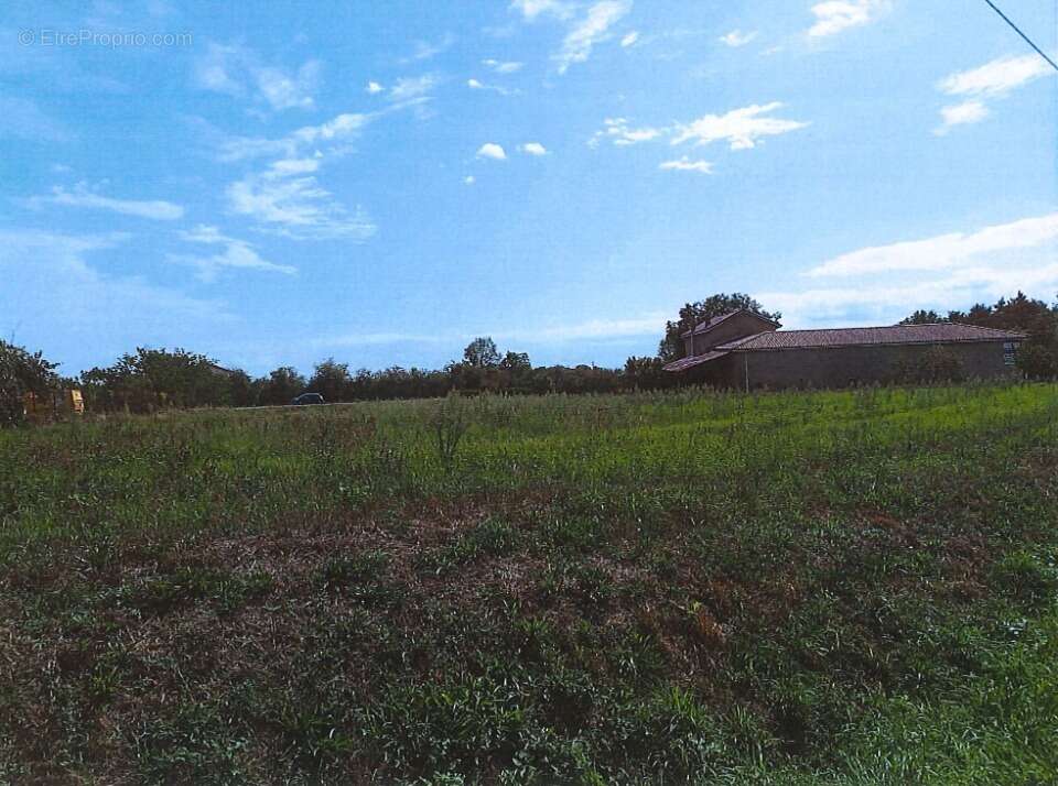 Terrain à CHAMPDIEU