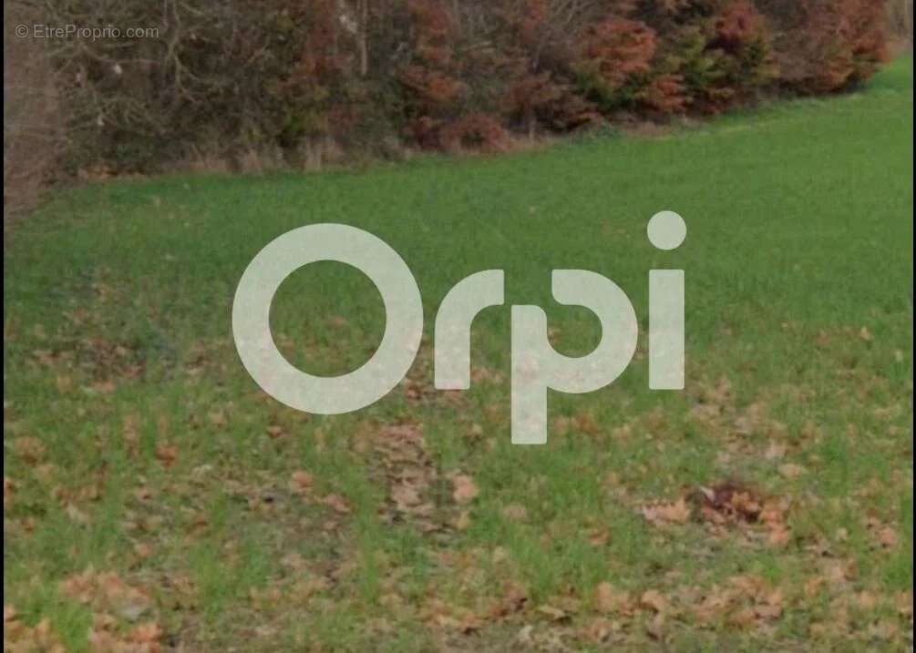 Terrain à QUINT-FONSEGRIVES