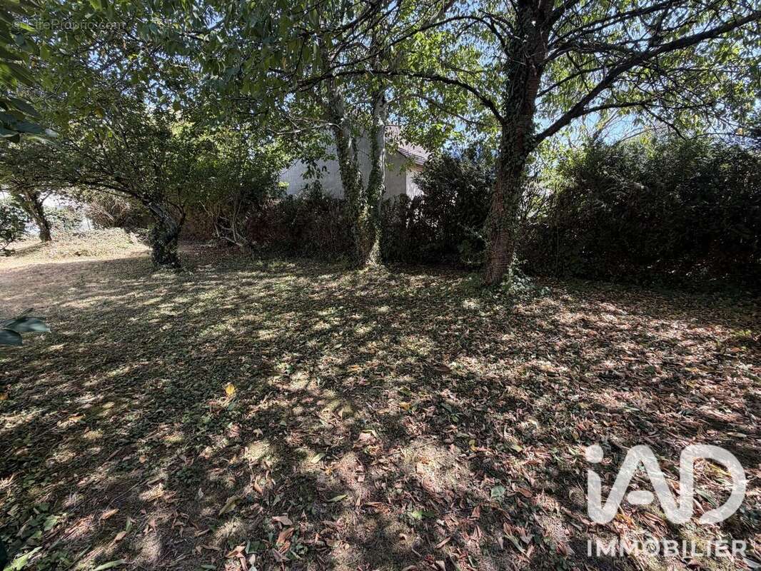 Terrain 375 m² à Tigery  - photo 5