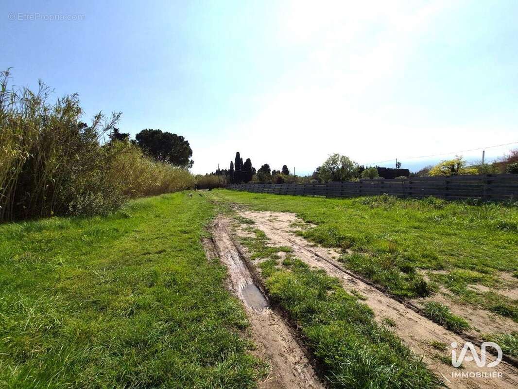Photo 3 - Terrain à BAGES