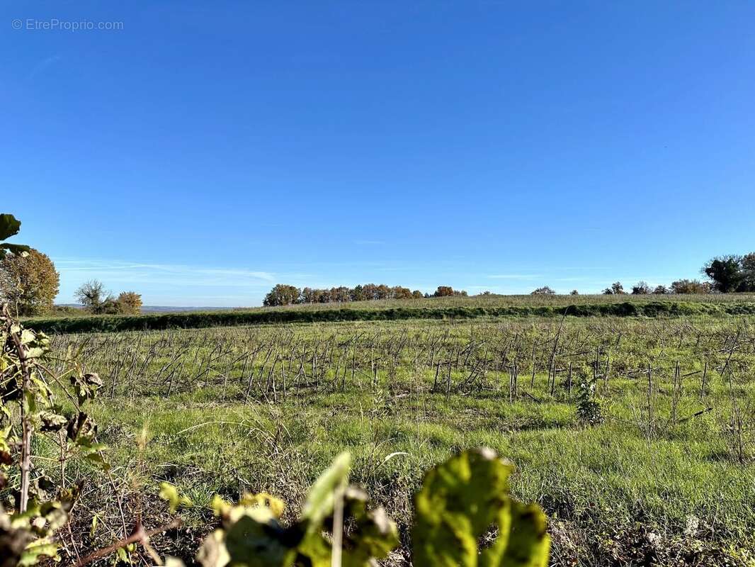 Maison à AUBETERRE-SUR-DRONNE