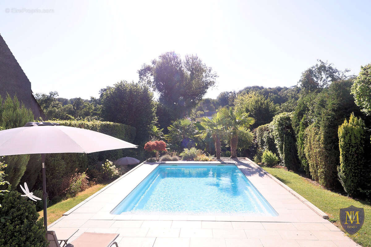 Magstatt-le-haut maison familiale avec piscine - cadre calme et sécurisé - photo 26