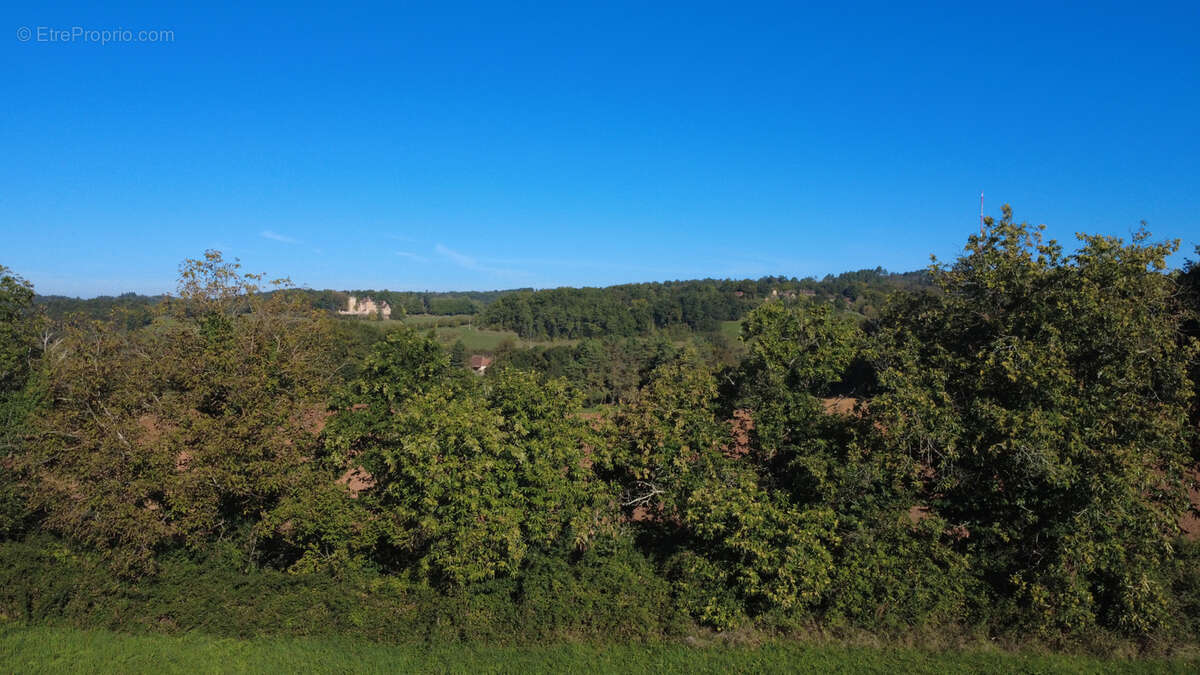 Terrain à COUX-ET-BIGAROQUE