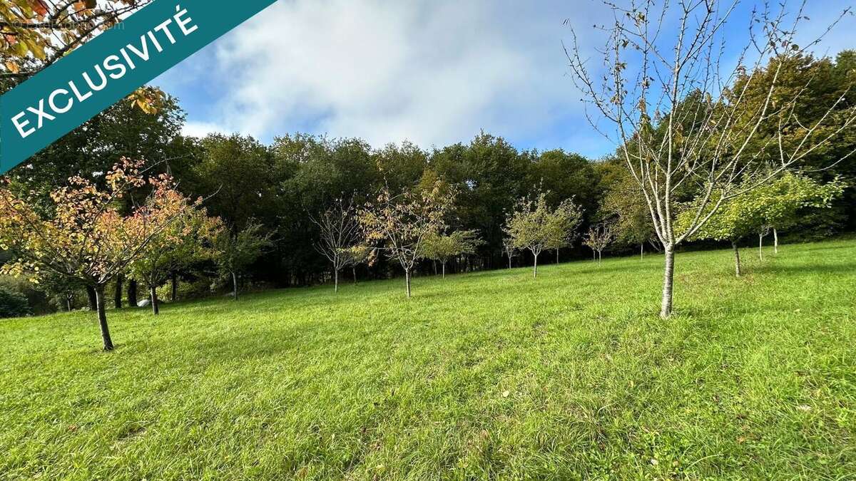 Photo 5 - Maison à SAINT-SAUVANT