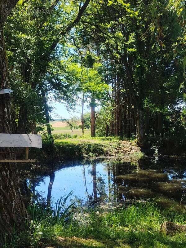 À vendre longère terrain 1,8 ha St-Malo-en-Donziois - photo 51
