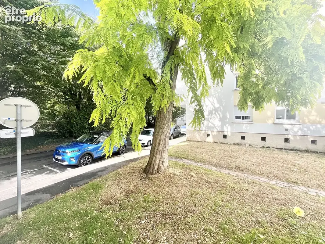 A VENDRE appartement  3 pièce(s)  - 56 m² - secteur calme et paisble - cave - primo-accédant ou investisseur - photo 13