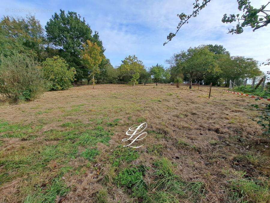 Terrain 874 m² à La Guierche  - photo 558