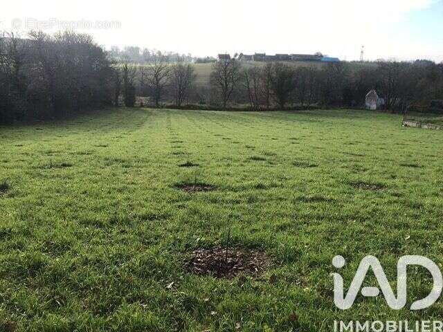 Terrain 7497 m² à Saint-Thurien  - photo 4