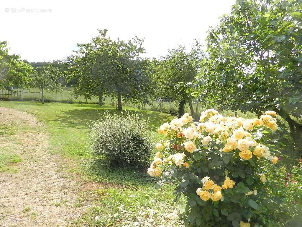 Maison à SAINT-PIERRE-SUR-DIVES
